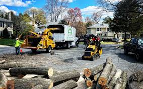 Best Leaf Removal  in Tara Hills, CA