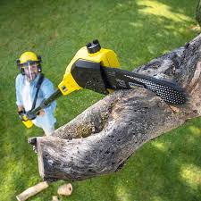 Best Pest Control for Lawns  in Tara Hills, CA